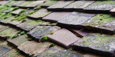 Abram roof repair costs